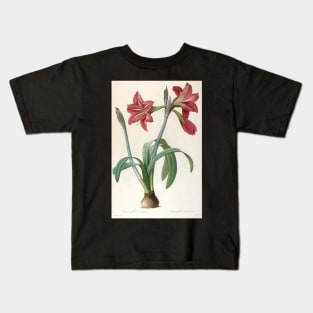 Amaryllis Brasiliensis (Brazilian Amaryllis) by Pierre-Joseph Redoute Kids T-Shirt